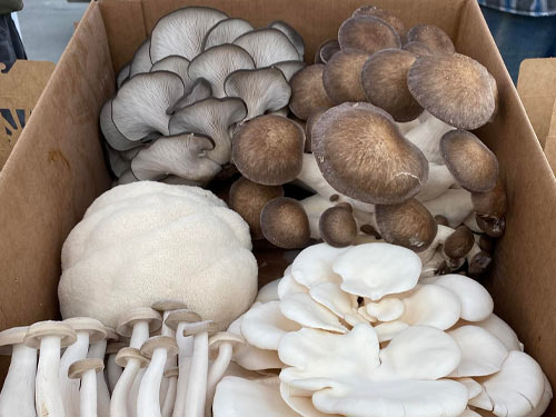 Kalispell Farmers Market - Vendors Food Fun Art Produce - Kalispell MT